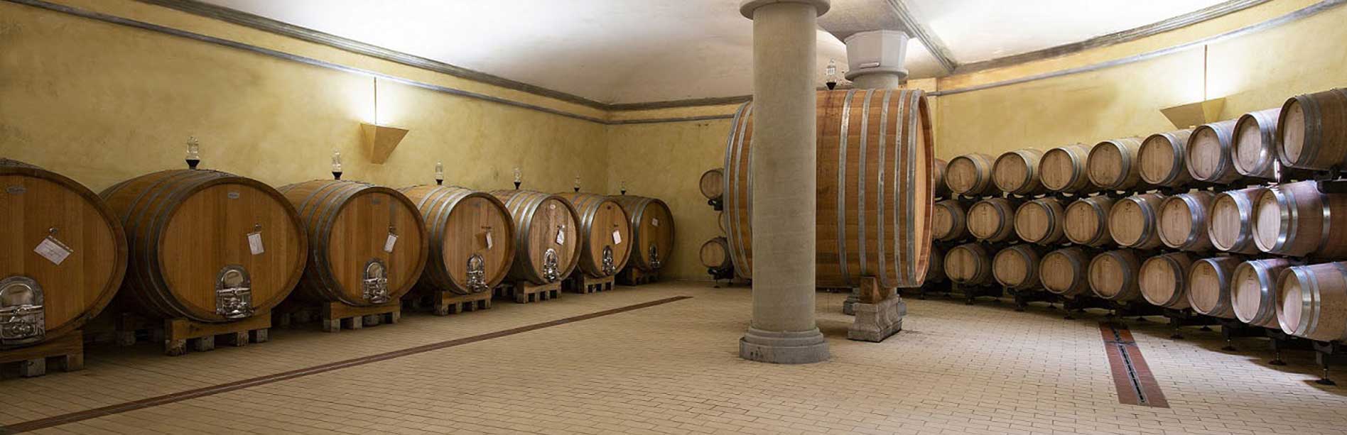 Cellar | Badia di Morrona