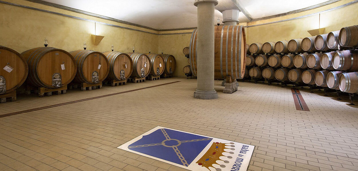 Cellar - Badia di Morrona