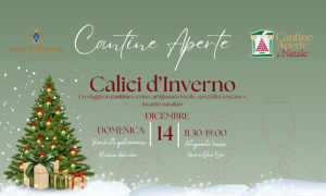 Immergiti nella magia del vino e del Natale - Calici d'Inverno 2025 Badia di Morrona